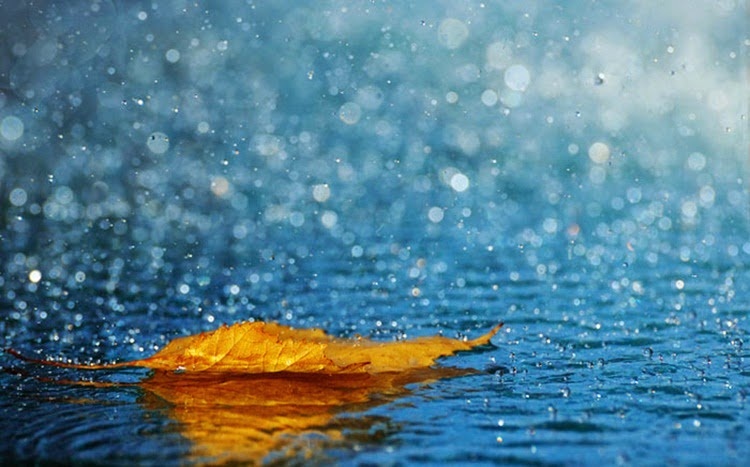 Mơ thấy mưa đánh con gì dự đoán bạn sắp trúng lô lớn 100%?
