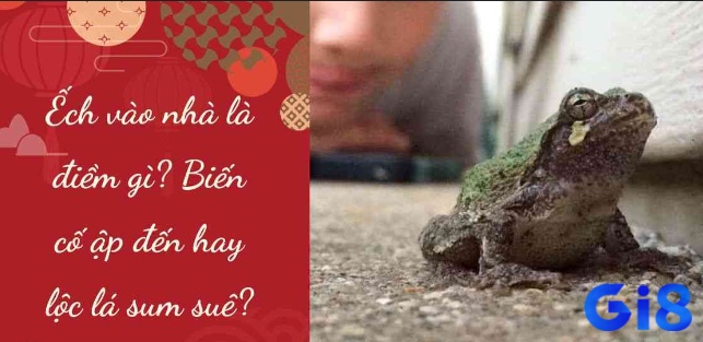 Chiêm bao thấy ếch nhảy vào nhà là điềm báo gì?