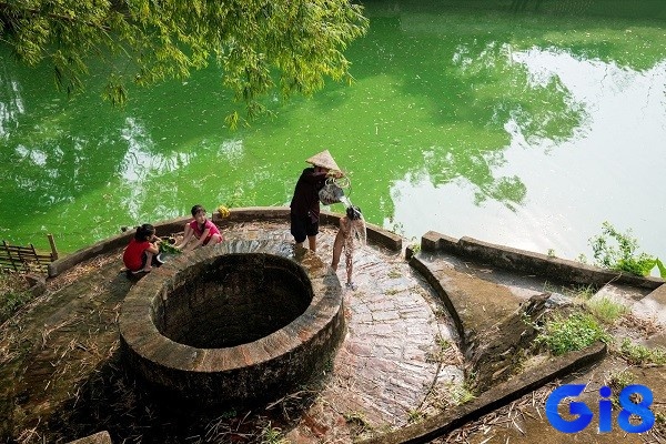 Mơ một người lạ rơi xuống giếng trong bối cảnh mờ ảo, thể hiện sự lo lắng
