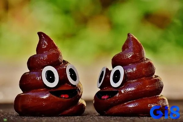 Mơ thấy cứt người thể hiện đề thủ đang bị mắc kẹt trong những suy nghĩ cũ