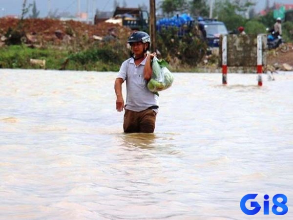 Mơ thấy sông nước tràn bờ hoặc lũ lụt được xem là dấu hiệu của những cảm xúc dâng trào