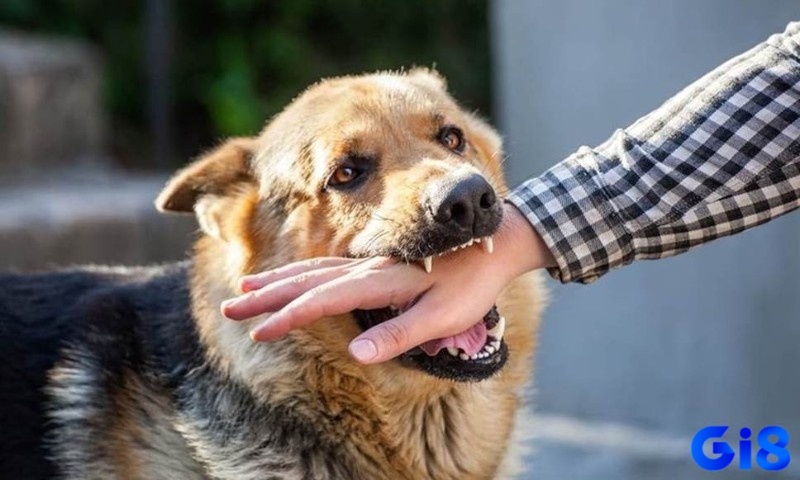 Điềm báo tốt xấu phụ thuộc theo từng ngữ cảnh mơ 