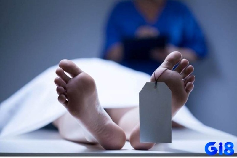 Hình dung chi tiết mơ để có được thông điệp tâm linh 