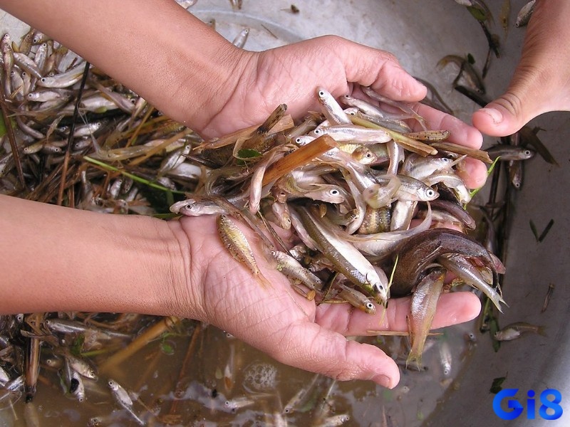 Điềm báo phụ thuộc theo từng bối cảnh mơ 